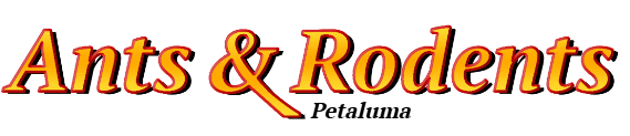 Petaluma Ant Exterminator & Rodent Control Company Logo